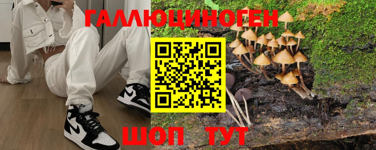 Псилоцибиновые грибы ЛСД Керчь